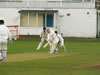 &copy; Ponteland Cricket Club